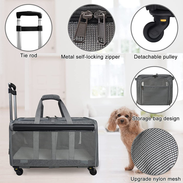 Dual pet carrier clearance